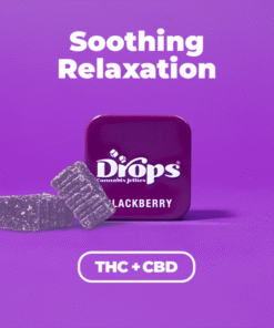 Drops – Blackberry 2-Piece (2:1 CBD:THC)