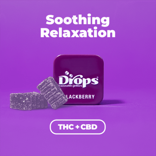 Drops – Blackberry 2-Piece (2:1 CBD:THC)