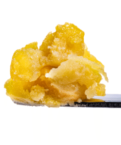 Governmint Oasis - Live rosin Cold Cure Badder - T3