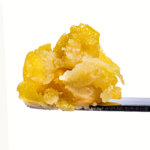 Governmint Oasis - Live rosin Cold Cure Badder - T3