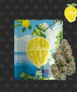 Seed Junky LEMON FRUZ - 3.5G