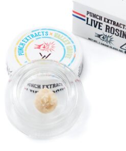 Punch - Ice Cream Dragon - Tier 2 - 1g Live Rosin Badder - Tier 2