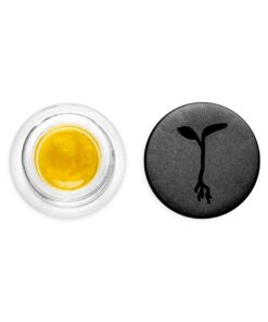 Raw Garden - Carbon Fiber - 1.0g Live Resin
