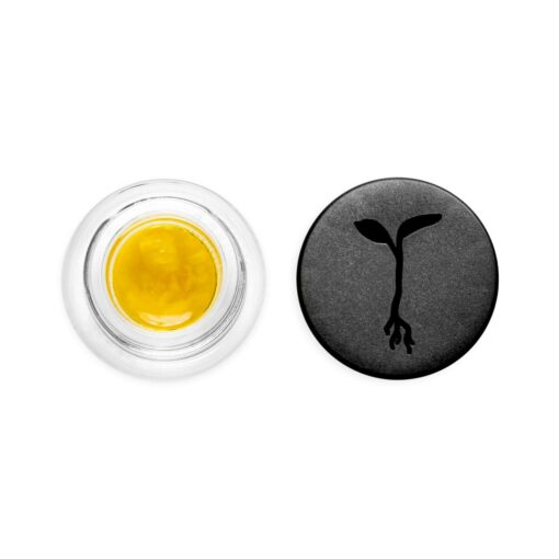 Raw Garden - Carbon Fiber - 1.0g Live Resin