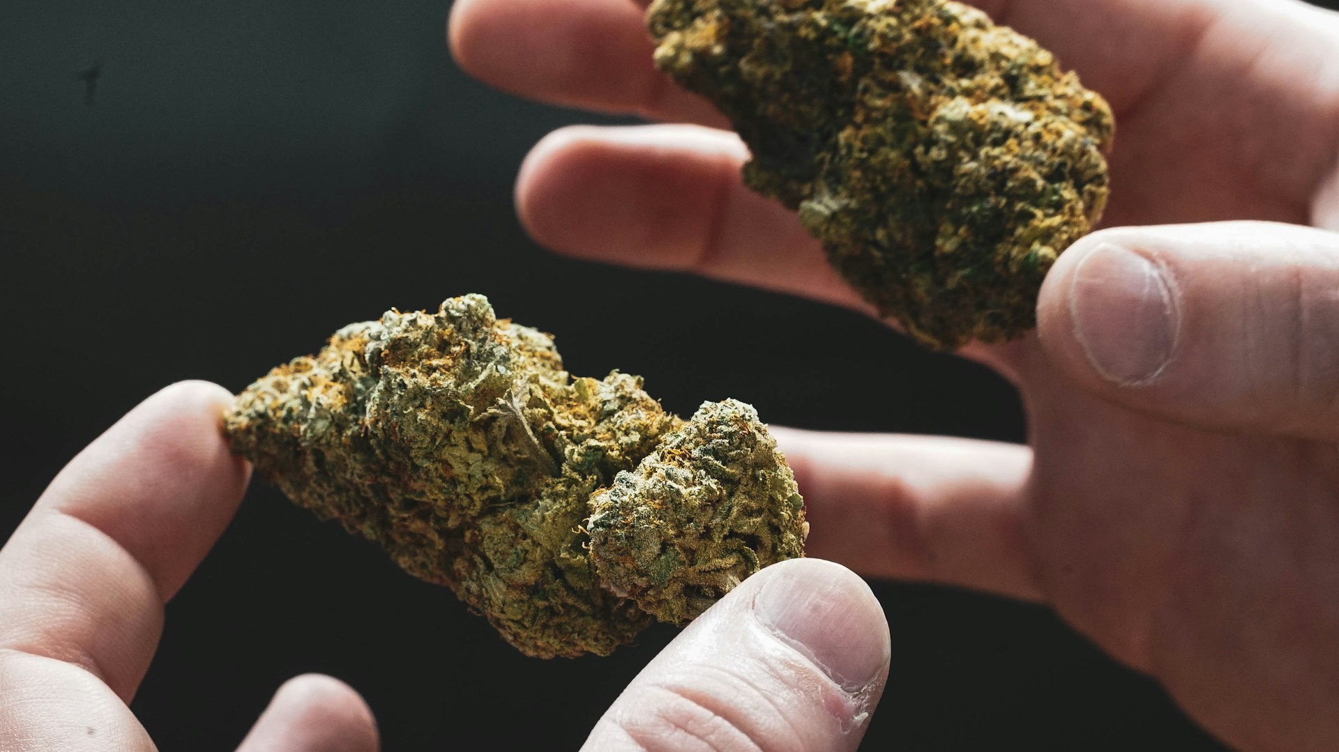 What  type of cannabis is good for anxiety